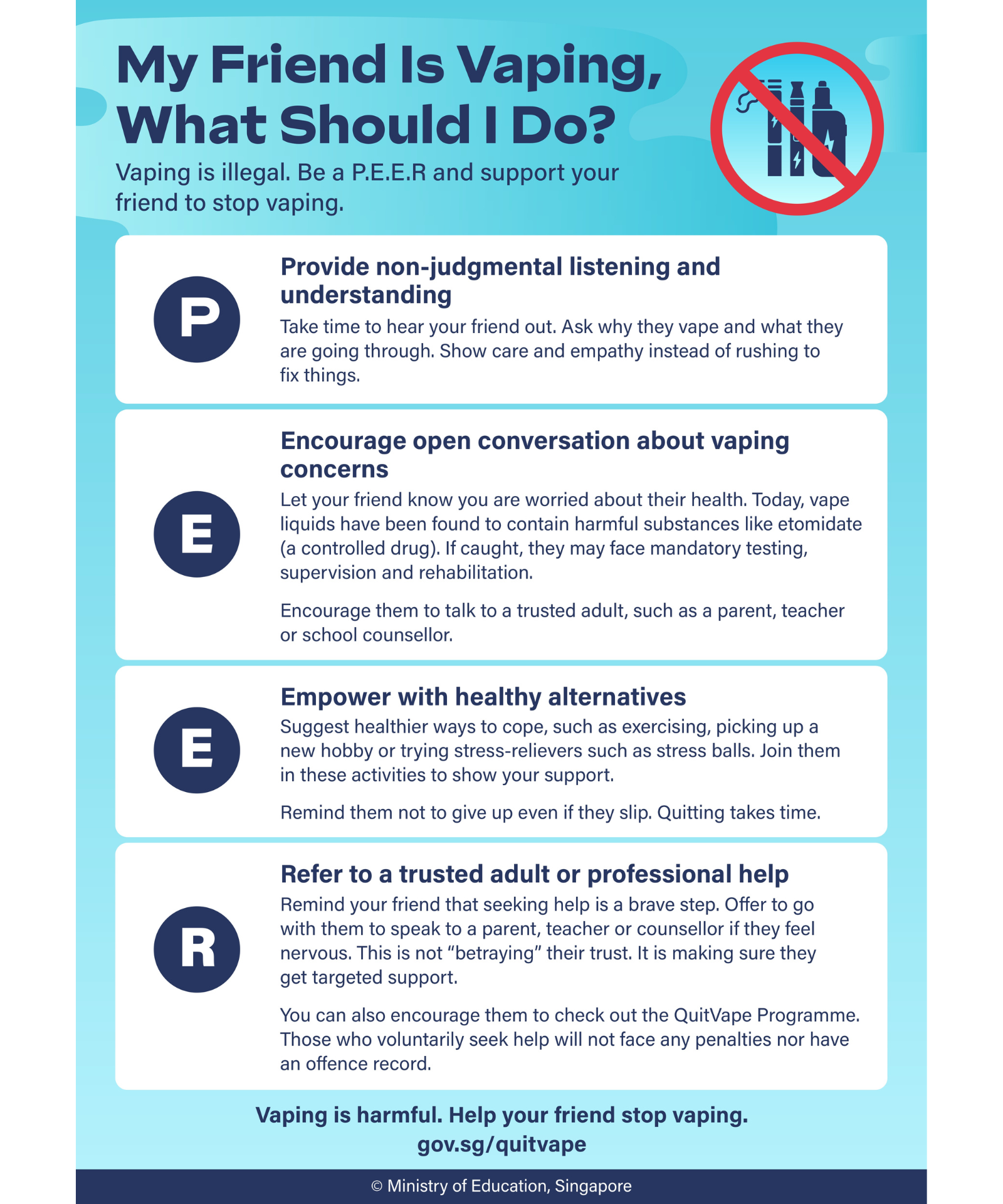 P.E.E.R Support Guide